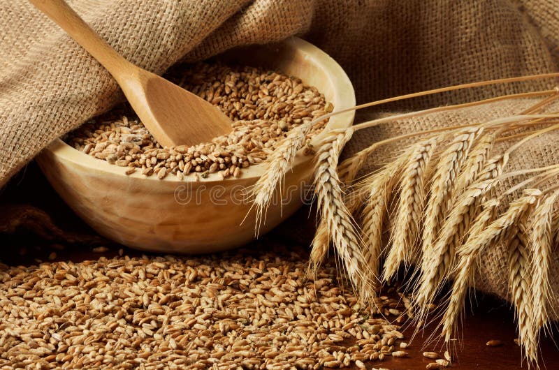 Grain Buying and Selling
